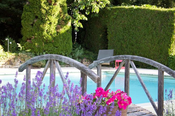 Hotel with Pool
