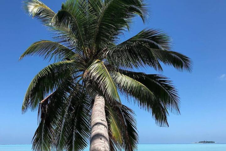 Beach 127 of 211