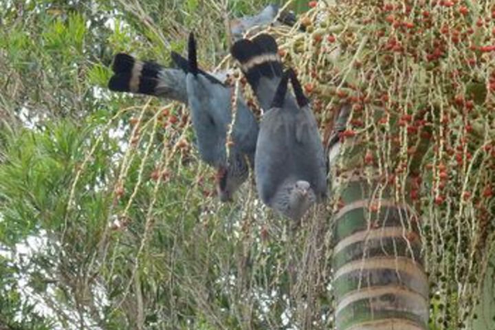 Hotel Exterior 20 of 63