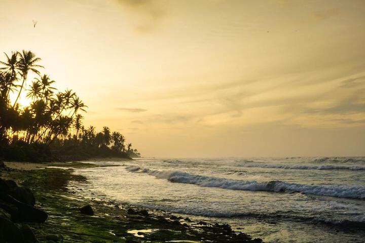 Beach 55 of 62