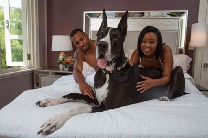Pet Friendly 70 of 87