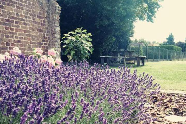 General 7 of 45