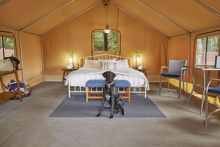 Pet Friendly 64 of 83