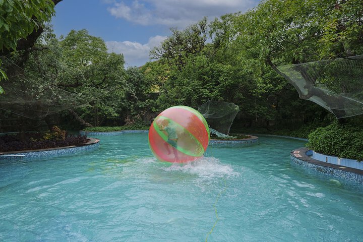 Pool to Cool