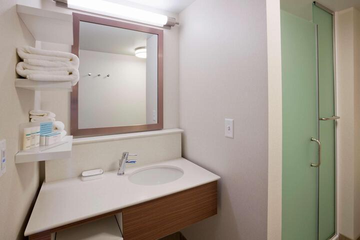 1 King Mobility Accessible Roll in Shower (9 of 11)