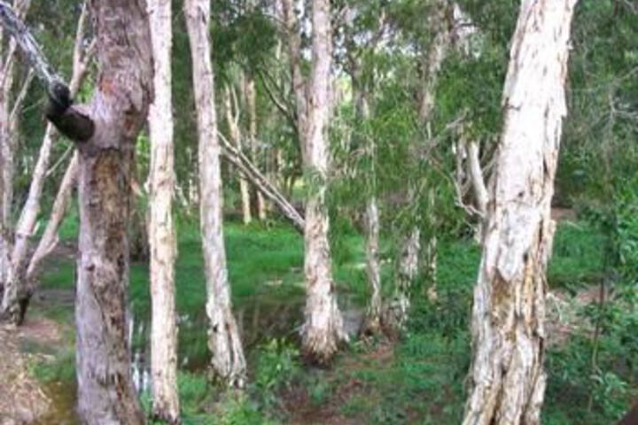 Property Grounds 10 of 10