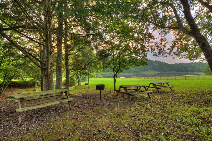 Loon Loft in McCaysville, GA