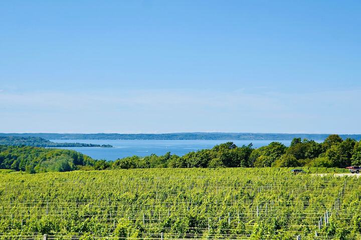 Winery