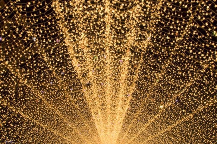Nabana Illumination 1