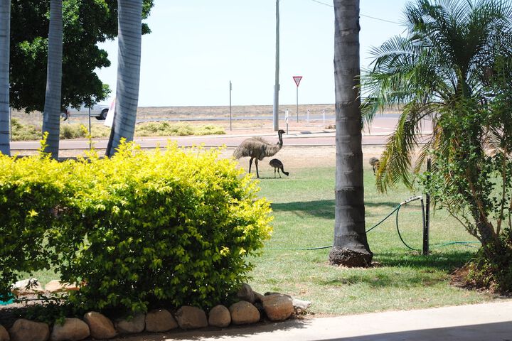 Property Grounds 33 of 54