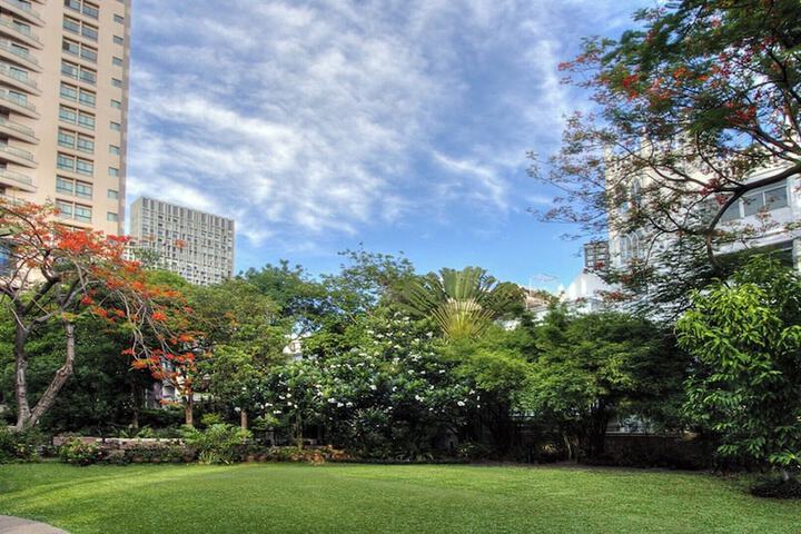Garden