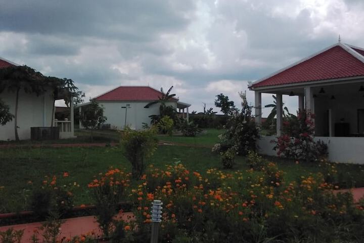 Property Grounds 35 of 51