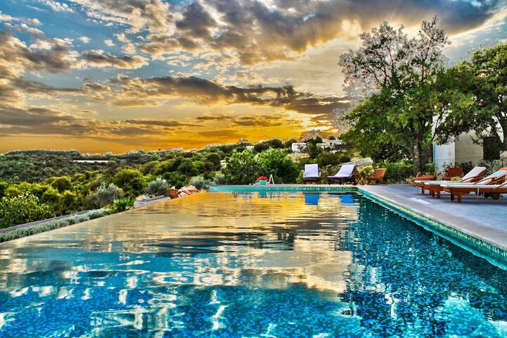 Pool 31 of 63