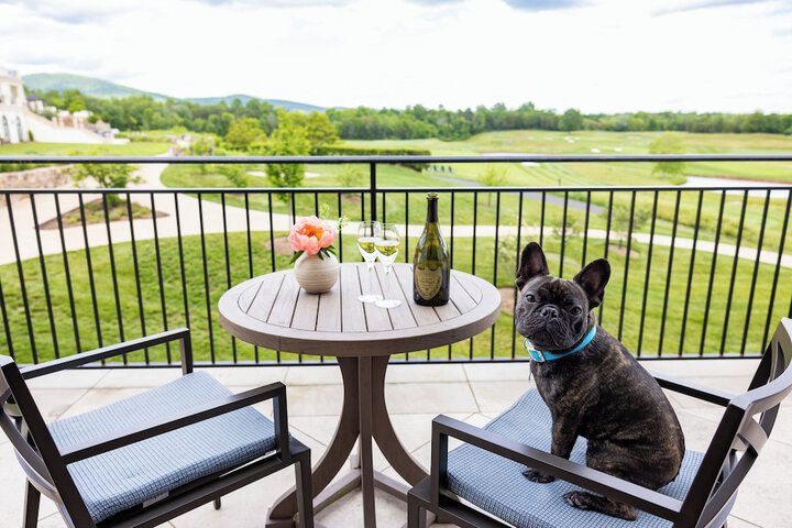 Pet-friendly