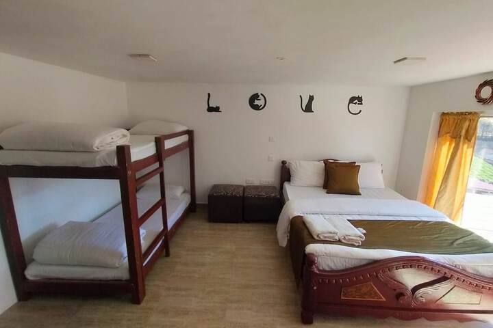 Room 5 of 55