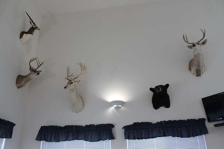 Hotel Interior 32 of 43