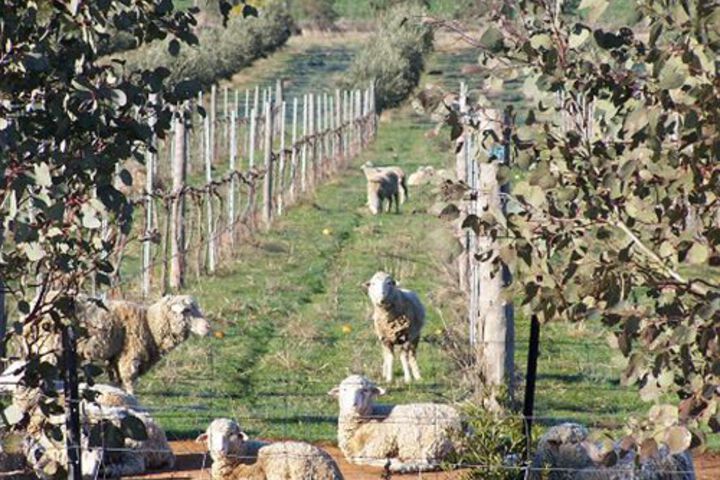 Property Grounds 22 of 41