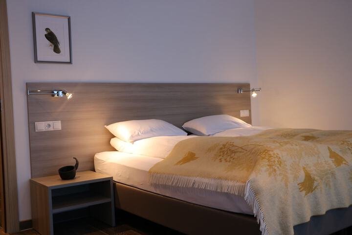 Room 3 of 40