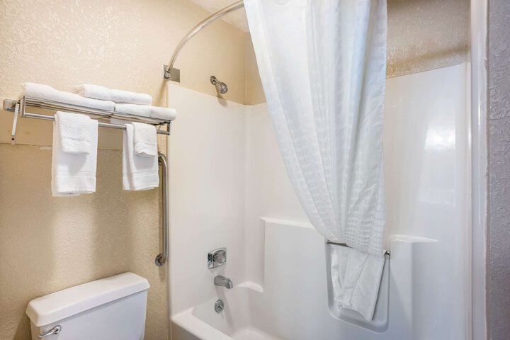 1 Queen Bed Accessible (2 of 10)