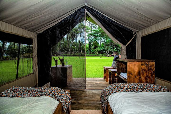 Room 4 of 25