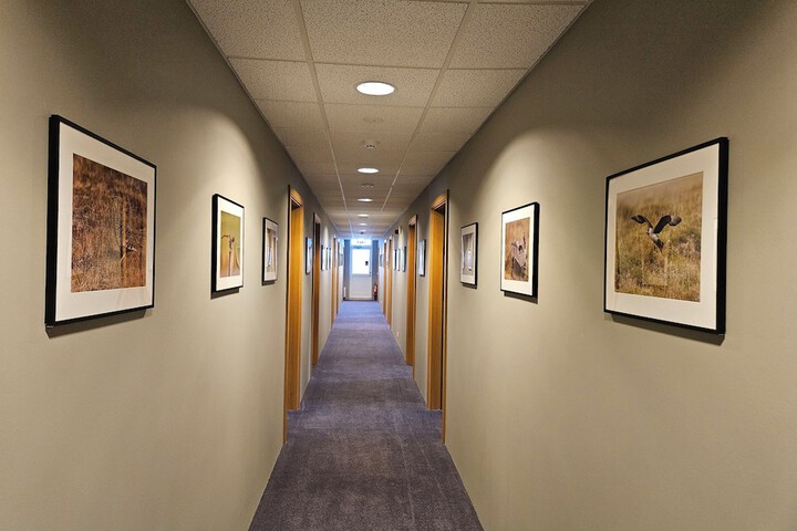 Room 11 of 20