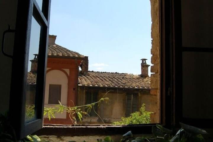 Room 25 of 50