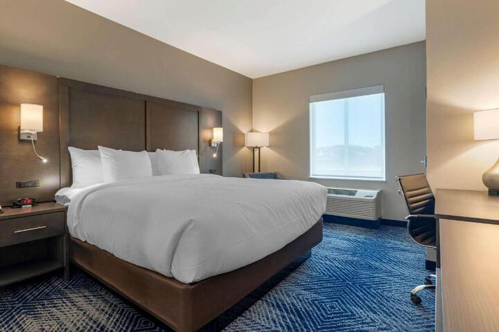1 King Bed