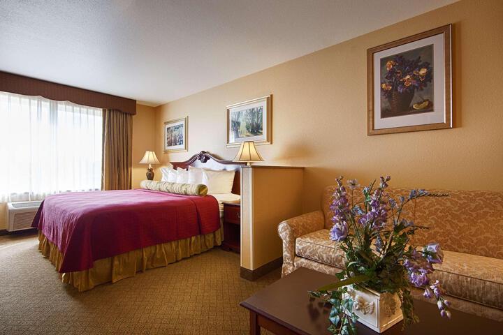 Suite 1 King Bed 2nd Bd Sofa Business Suite Microfridge Full Breakfast (3 of 7)