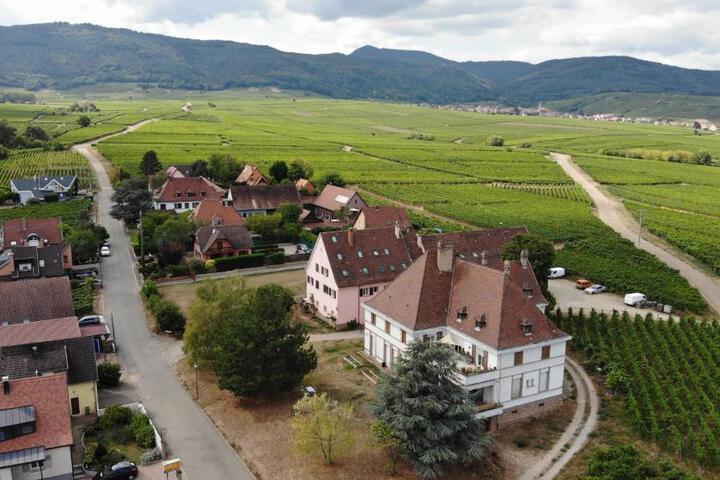 gîtes au domaine Greiner