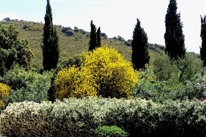 Agriturismo Fattoria Il Casalone in Orbetello