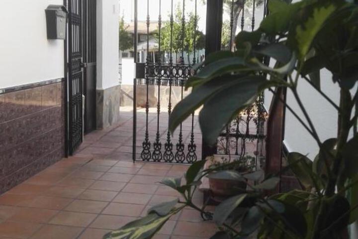 Photo 21