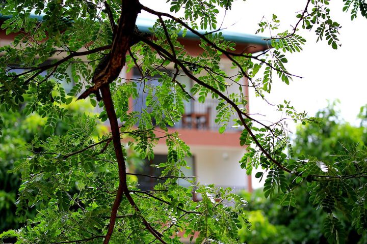 Hotel Exterior 41 of 49
