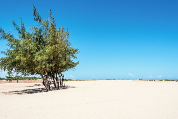 Beach 129 of 143