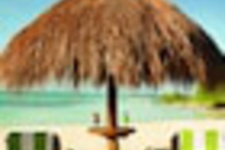 Beach 302 of 342