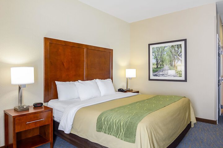 1 King Bed (19 of 25)