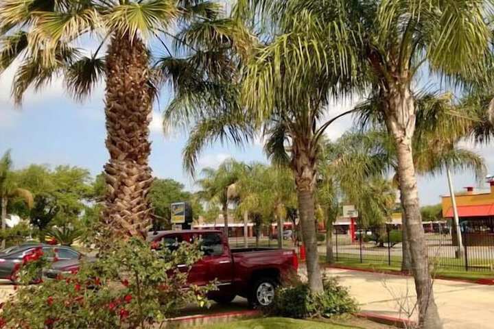 Property Grounds 20 of 27