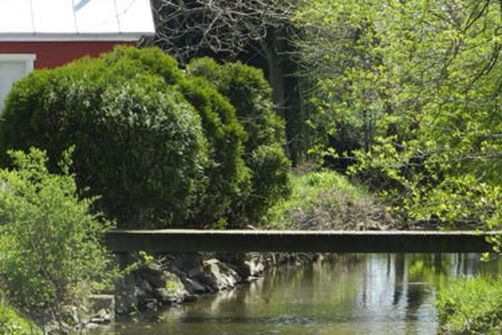 Property Grounds 11 of 29