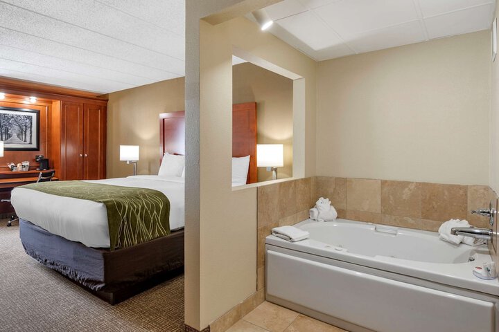 1 King Bed (11 of 13)