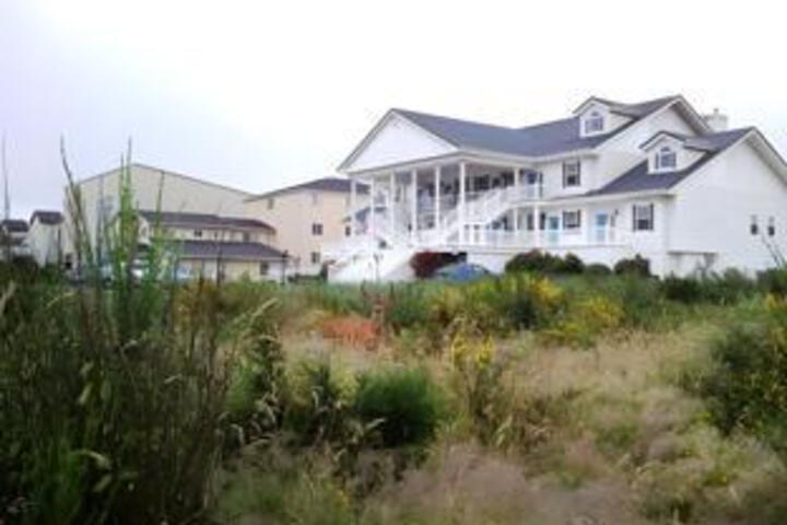 Hotel 14 of 23
