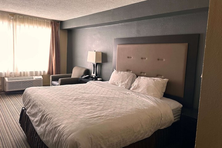 1 King Bed (7 of 9)