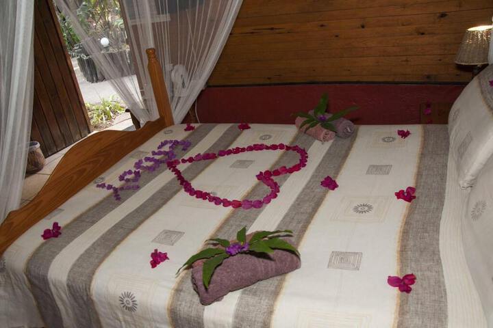 WE BUSHCAMP & HORSE SAFARIS