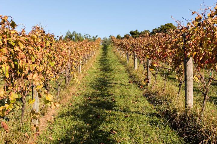 Property Grounds 31 of 45