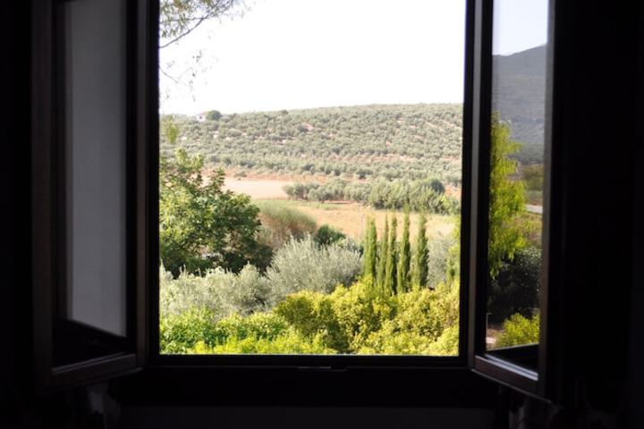 View from room