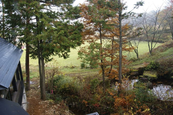Property Grounds 25 of 47