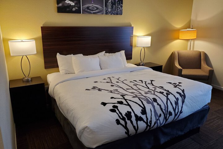 1 King Bed (9 of 29)