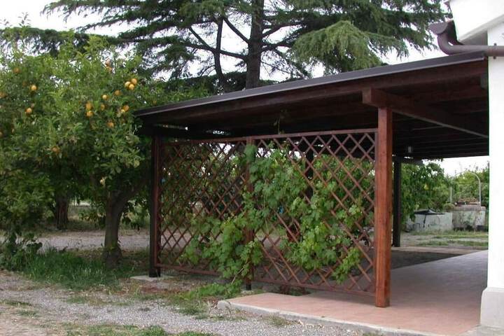 Property Grounds 27 of 34