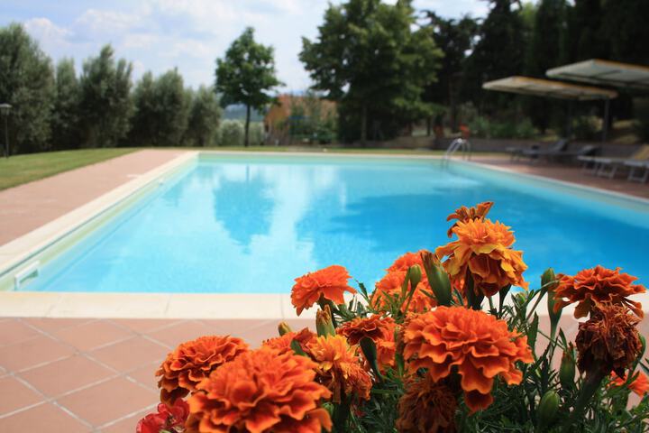 Pool 36 of 70