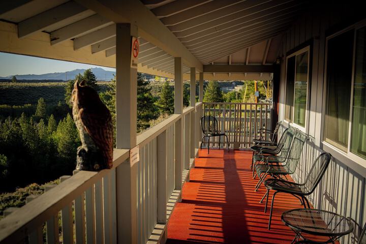 Terrace/Patio 32 of 95