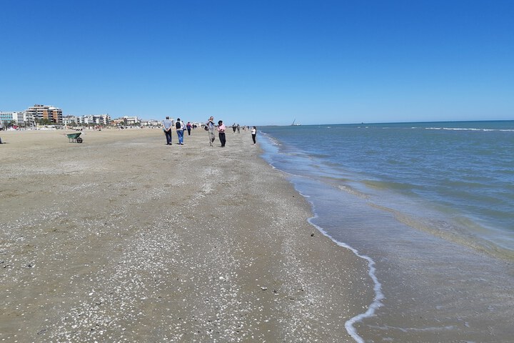 Beach 74 of 85