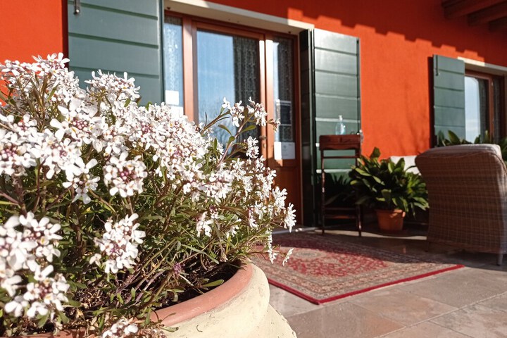 Photo 27